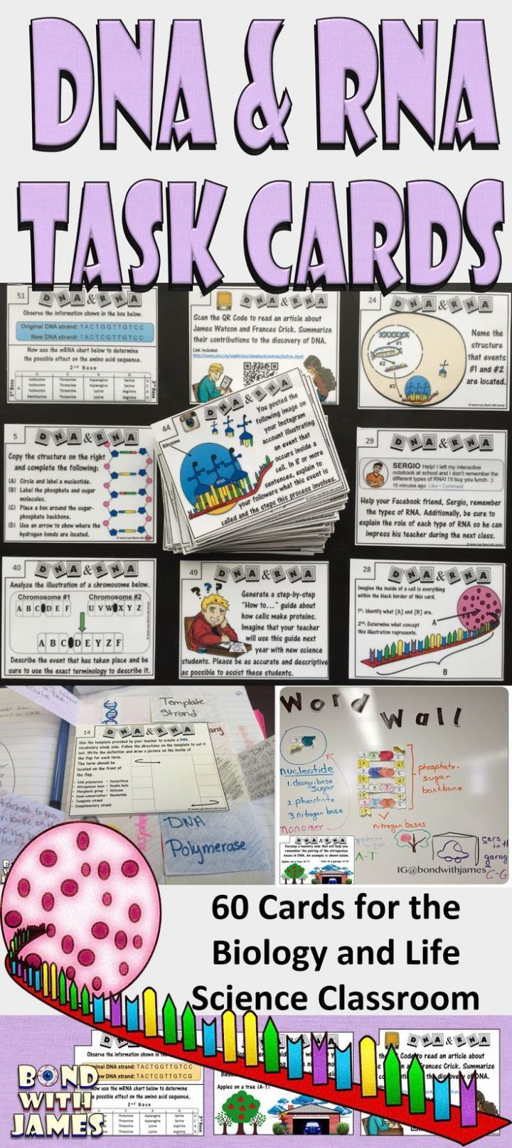 dna transkription und ubersetzung arbeitsblatt