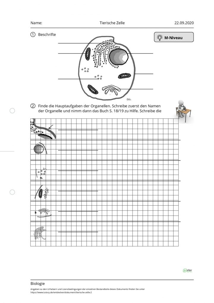 arbeitsblatt antwortschlussel fur die dreieckenkongruenz