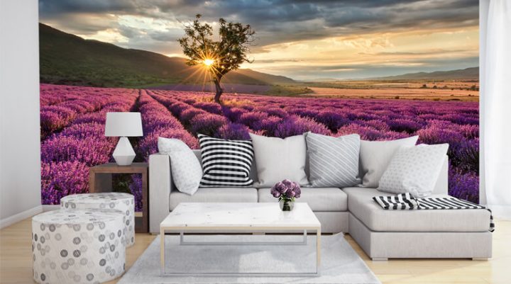 fotografie bilder tapeten wohnzimmer