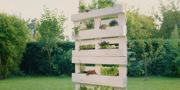 beitreibung sichtschutz aus paletten bauen