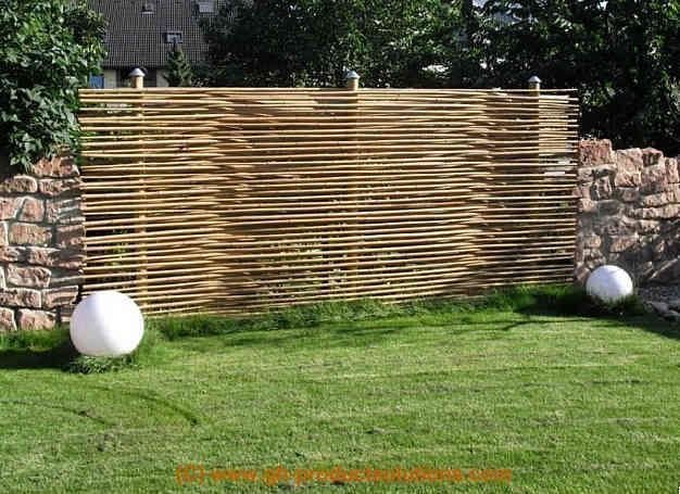 aufnahme bambus sichtschutz garten