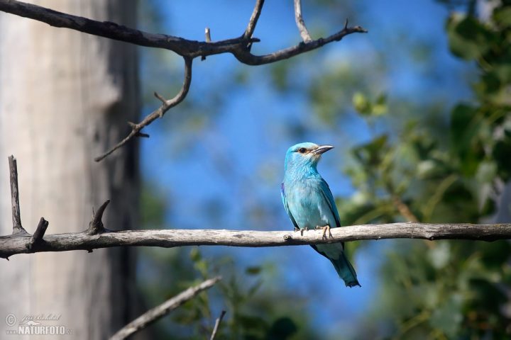 image anbauwände bei roller