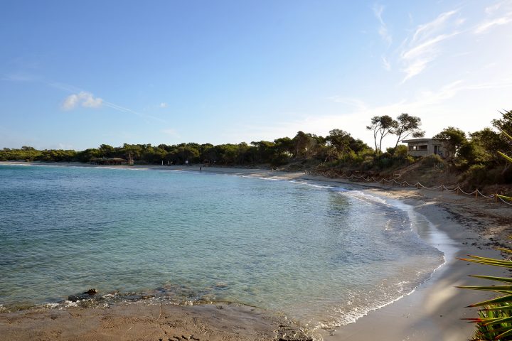 colonia de sant jordi strand