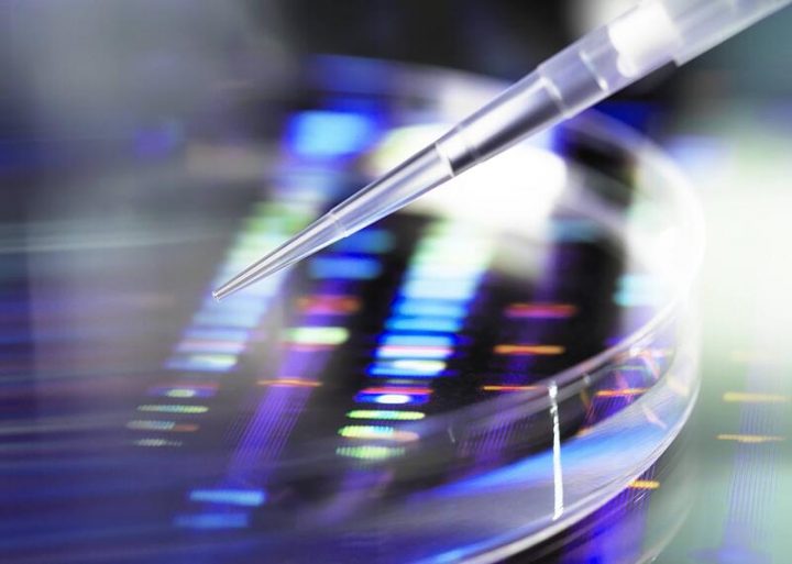 dna fingerabdruck arbeitsblatt antworten