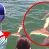 10 Echte Meerjungfrauen Auf Video Aufgenommen mit Bilder Von Meerjungfrauen