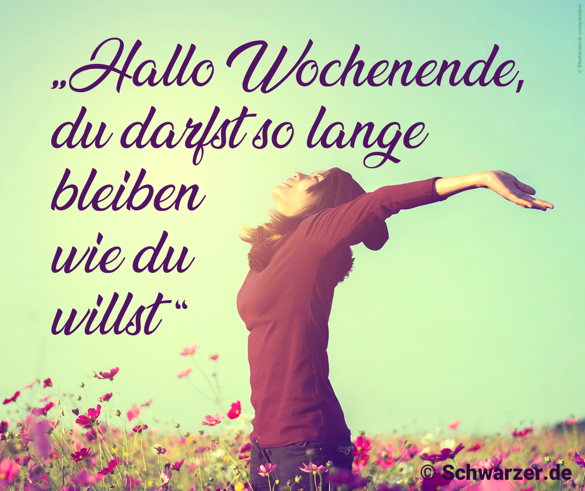 43+ Bild mit spruch lustig information