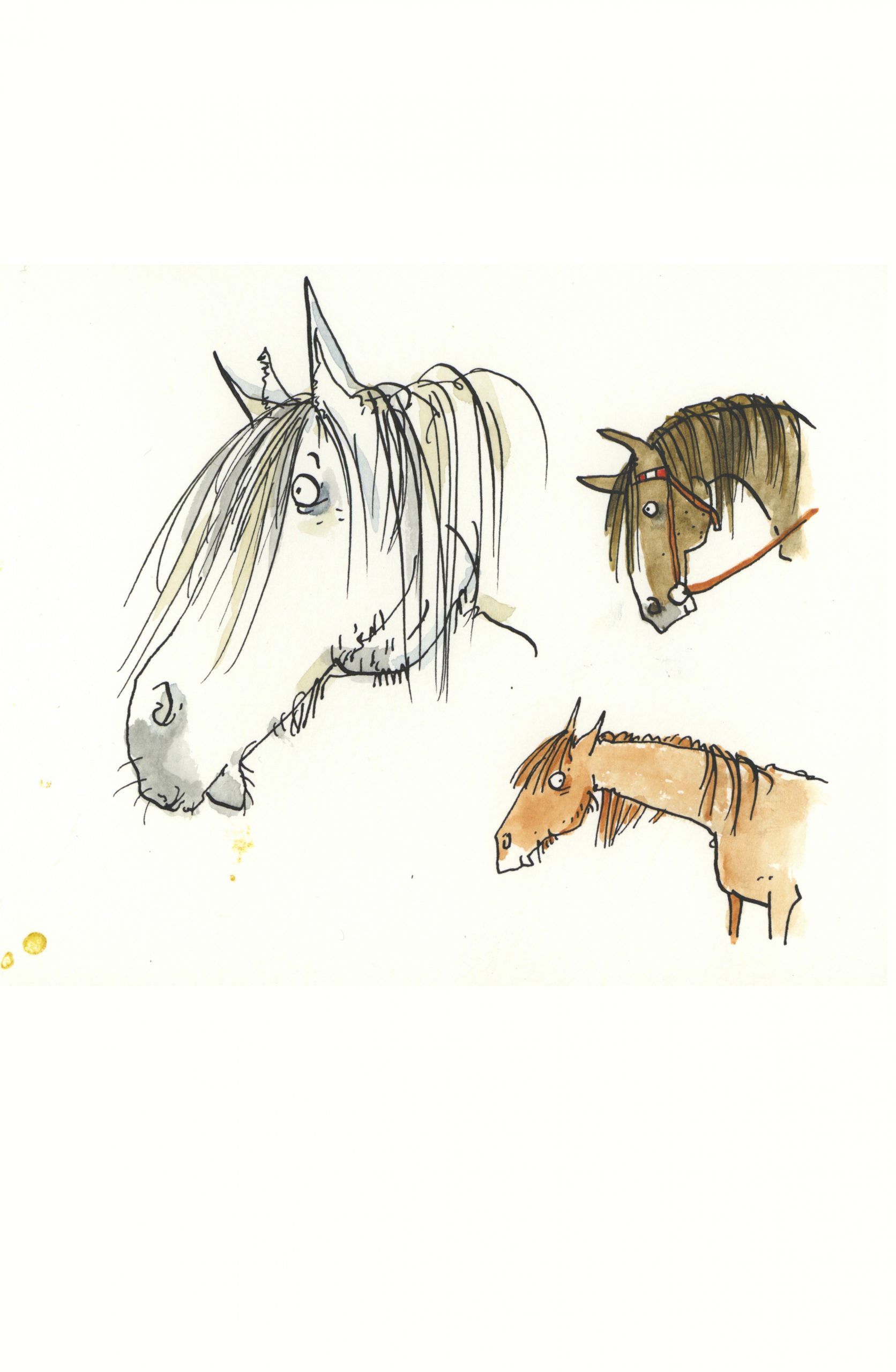 21. März – Melaniegaranin verwandt mit Pferdeköpfe Zeichnen