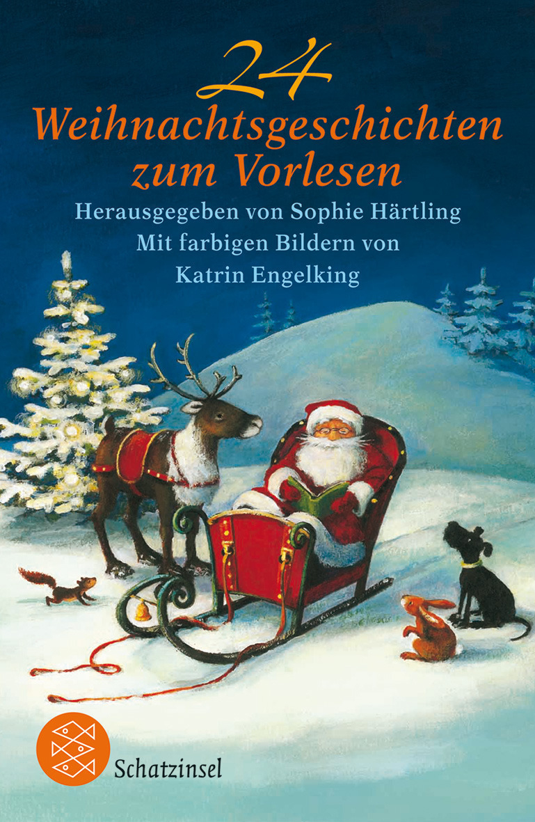 24 Weihnachtsgeschichten Zum Vorlesen, Fischer Kinder- Und Jugendtaschenbuch ganzes Adventskalender Zum Vorlesen