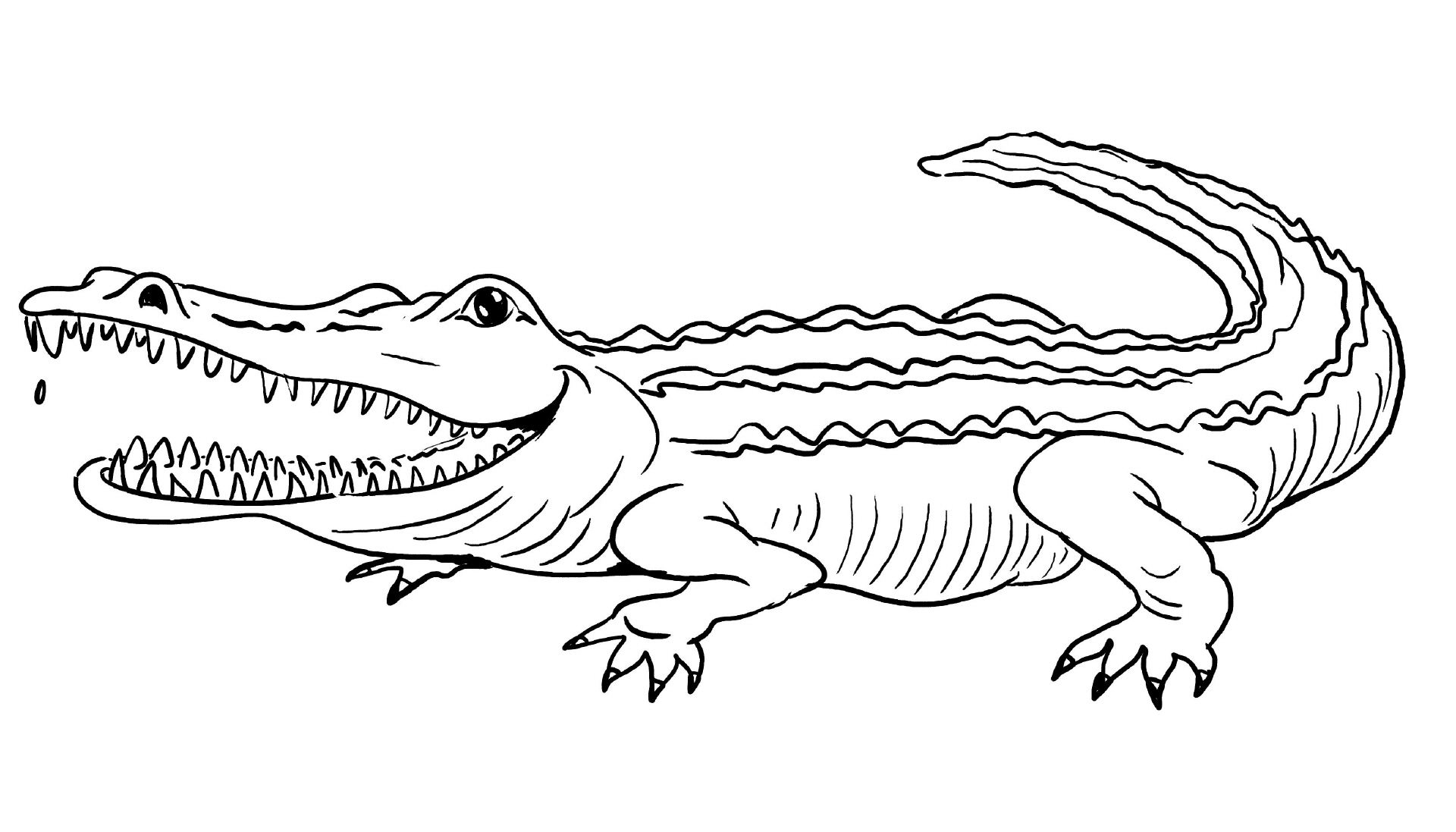 30 Krokodil Bilder Zum Ausmalen - Besten Bilder Von Ausmalbilder für Krokodil Ausmalbilder Ausdrucken