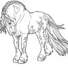 40 Pferdezeichnungen Zum Ausdrucken Und Ausmalen ganzes Pferde Zum Abpausen