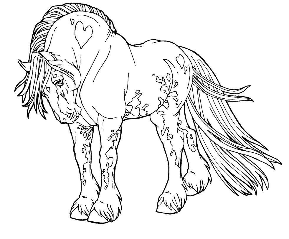 40 Pferdezeichnungen Zum Ausdrucken Und Ausmalen ganzes Pferde Zum Abpausen