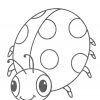 8 Beste Ausmalbilder Marienkäfer Kleeblatt Tiere Gratis (Mit über Zeichnungsvorlagen Für Kindergartenkinder