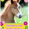 8 Einladungskarten Süßes Fohlen - Pferd ganzes Süße Pferde Bilder