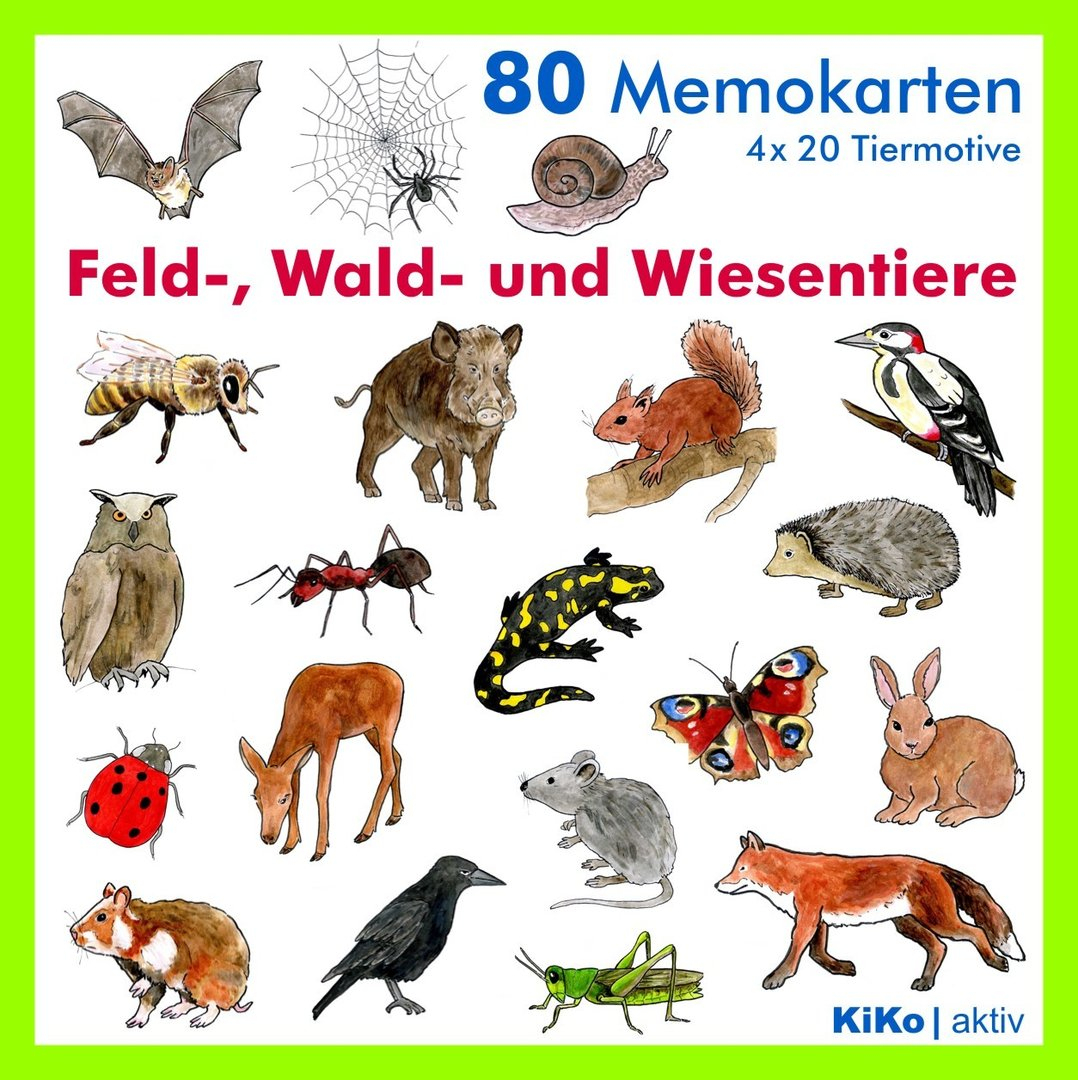 80 Memo-Karten &quot;feld-, Wald- Und Wiesentiere&quot; mit Memokarten