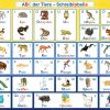 Abc Der Tiere: Die Schreibtabelle In Der Silbenmethode über Tier Mit C Am Anfang