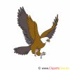Adler Cartoon, Bild, Illustration, Clip Art verwandt mit Adler Bilder Zum Ausdrucken