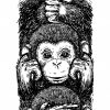 Affe Kostenlose Vektoren, Fotos Und Psd-Dateien bei Affe De Kostenlos
