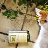 Alkoholvergiftung: Katze Mit Kater In Klinik! - News Inland bestimmt für Was Passiert Wenn Katzen Alkohol Trinken