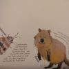 Alle Tiere, Die Ich (Noch Nicht) Kenne - Buchkinderblog ganzes Tier Mit C Als Anfangsbuchstabe