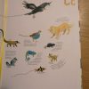 Alle Tiere, Die Ich (Noch Nicht) Kenne - Buchkinderblog verwandt mit Tier Mit C Als Anfangsbuchstabe