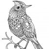 Animal Coloring Pages Pdf | Vogel Malvorlagen, Malvorlagen innen Mandala Vogel
