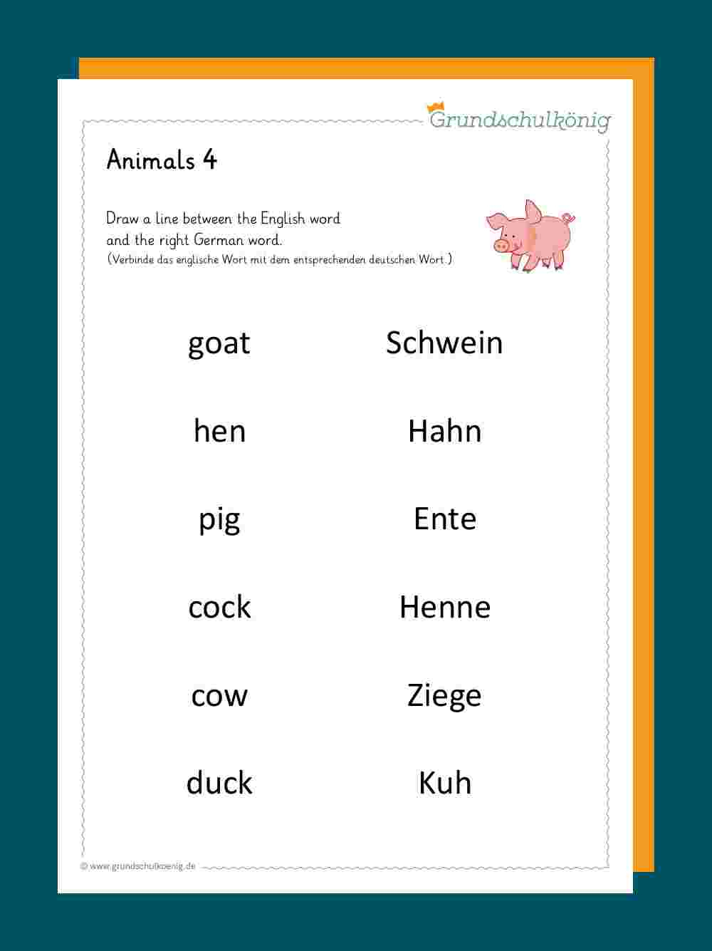 Animals / Tiere über Englisch Arbeitsblätter Für Anfänger