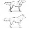 Anleitungen Zum Zeichnen Von Wölfen - #anleitungen #drawing ganzes Wölfe Zeichnen