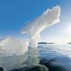 Arktis: Das Eis Schmilzt - Wissen - Tagesspiegel mit Eis Im Wasserglas Schmelzen Wie Ist Der Wasserspiegel Nun