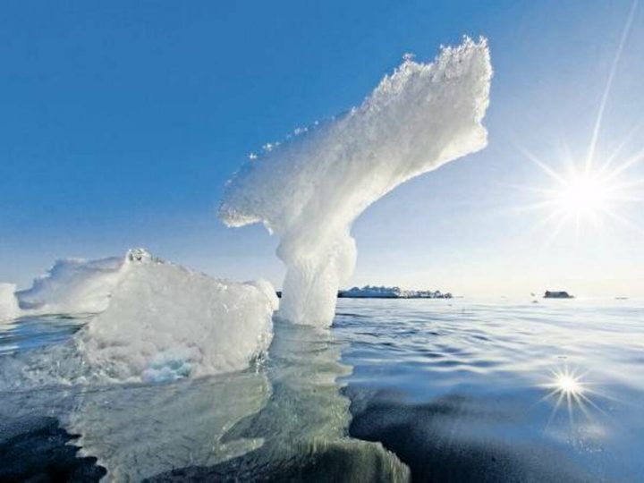 Arktis: Das Eis Schmilzt - Wissen - Tagesspiegel mit Eis Im Wasserglas Schmelzen Wie Ist Der Wasserspiegel Nun