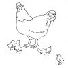 Ausmalbild Bauernhof: Huhn Und Küken Kostenlos Ausdrucken ganzes Ausmalbild Huhn