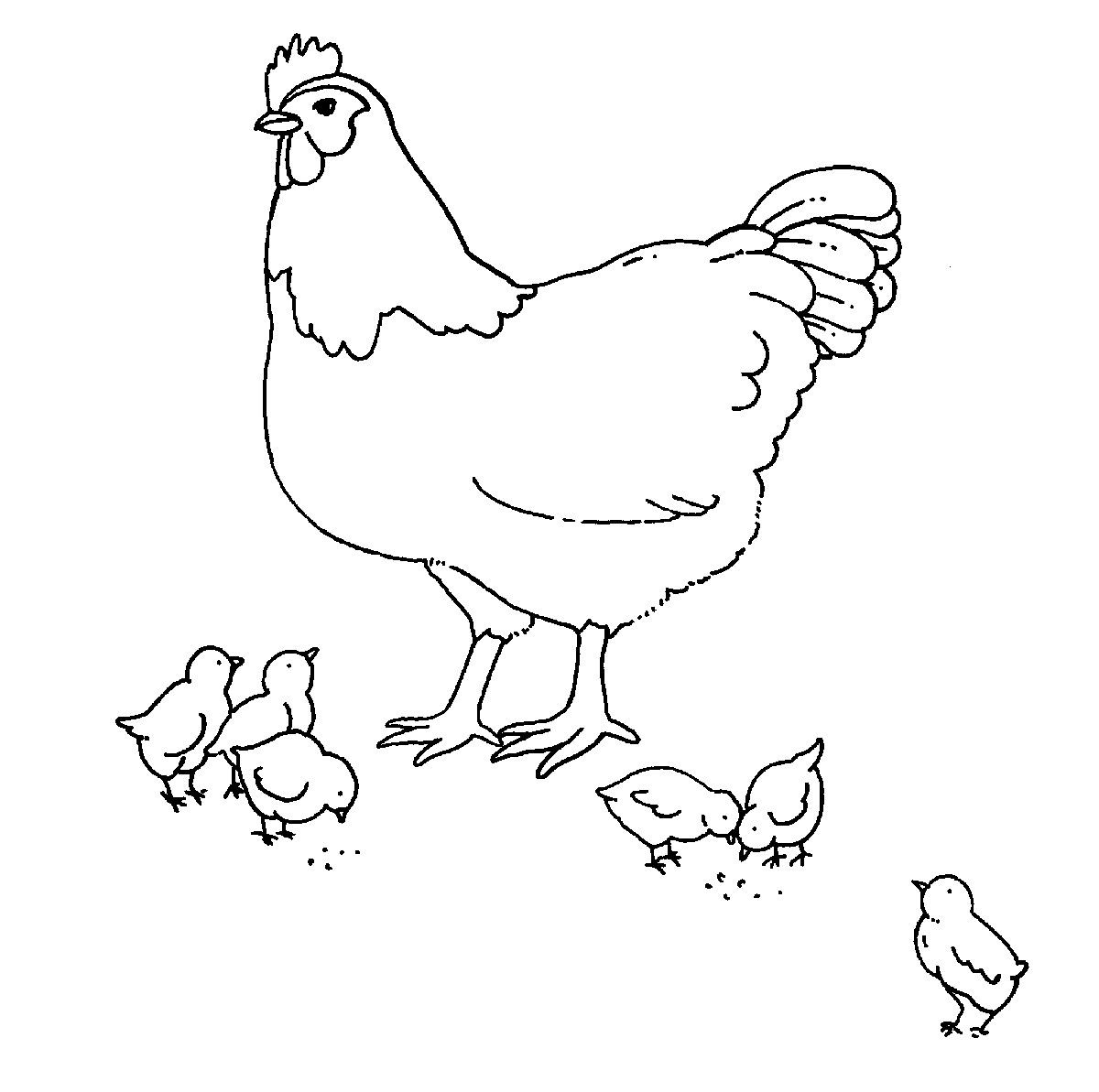 Ausmalbild Bauernhof: Huhn Und Küken Kostenlos Ausdrucken ganzes Ausmalbild Huhn