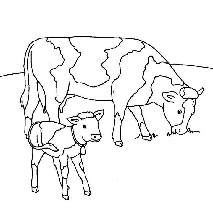 Ausmalbild Bauernhof: Kühe Auf Der Weide Kostenlos Ausdrucken bei