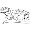Ausmalbild: Comic-Krokodil | Ausmalbilder Kostenlos Zum bestimmt für Krokodil Bilder Zum Ausmalen