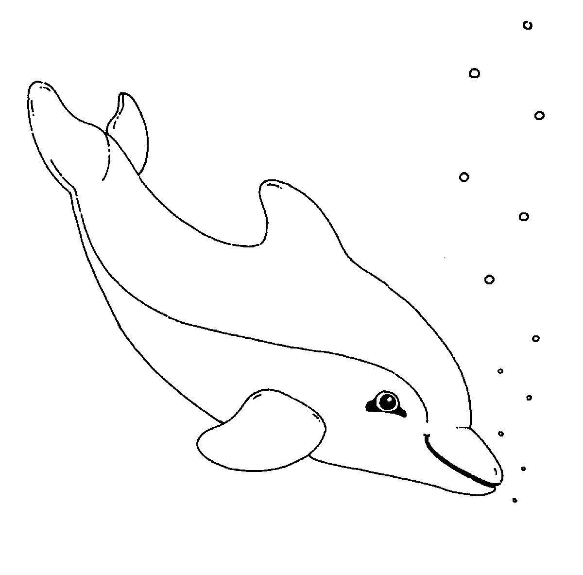 Ausmalbild Delfine Und Wale: Ausmalbild Delfin Kostenlos innen Ausmalbild Delfin