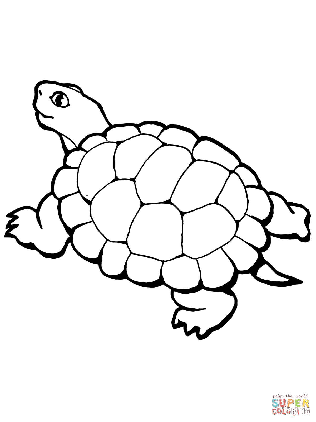 Ausmalbild: Gehende Schildkröte | Ausmalbilder Kostenlos Zum verwandt mit Schildkröte Ausmalbild