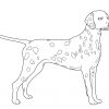 Ausmalbild Hunde: Dalmatiner Kostenlos Ausdrucken ganzes Hunde Bilder Kostenlos Zum Ausdrucken