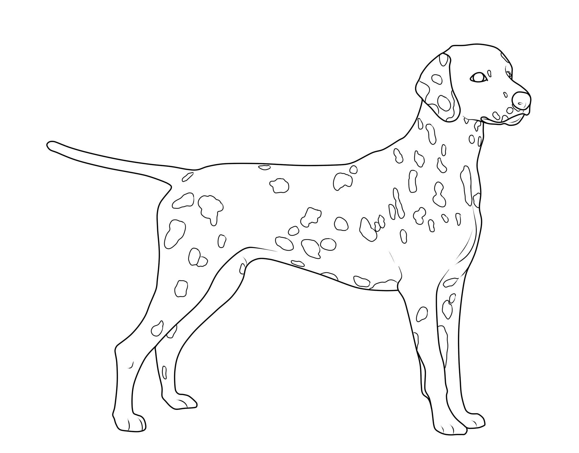 Ausmalbild Hunde: Dalmatiner Kostenlos Ausdrucken ganzes Hunde Bilder Kostenlos Zum Ausdrucken
