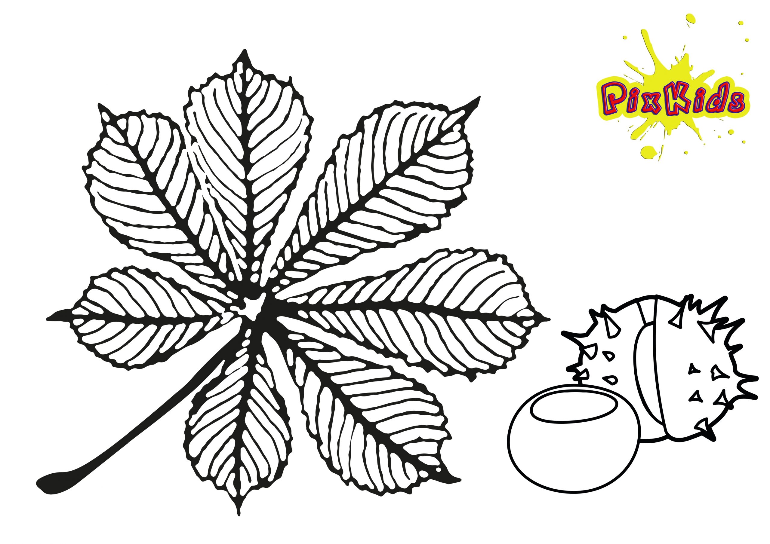 Ausmalbild Kastanienblatt - Kostenlose Malvorlage für Herbstblätter Zum Ausmalen