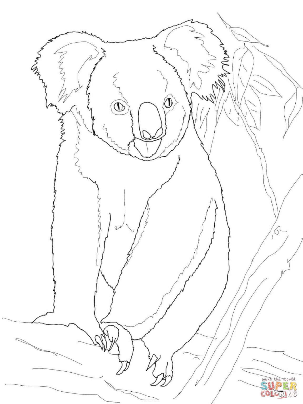 Koala Ausmalbild - kinderbilder.download | kinderbilder.download