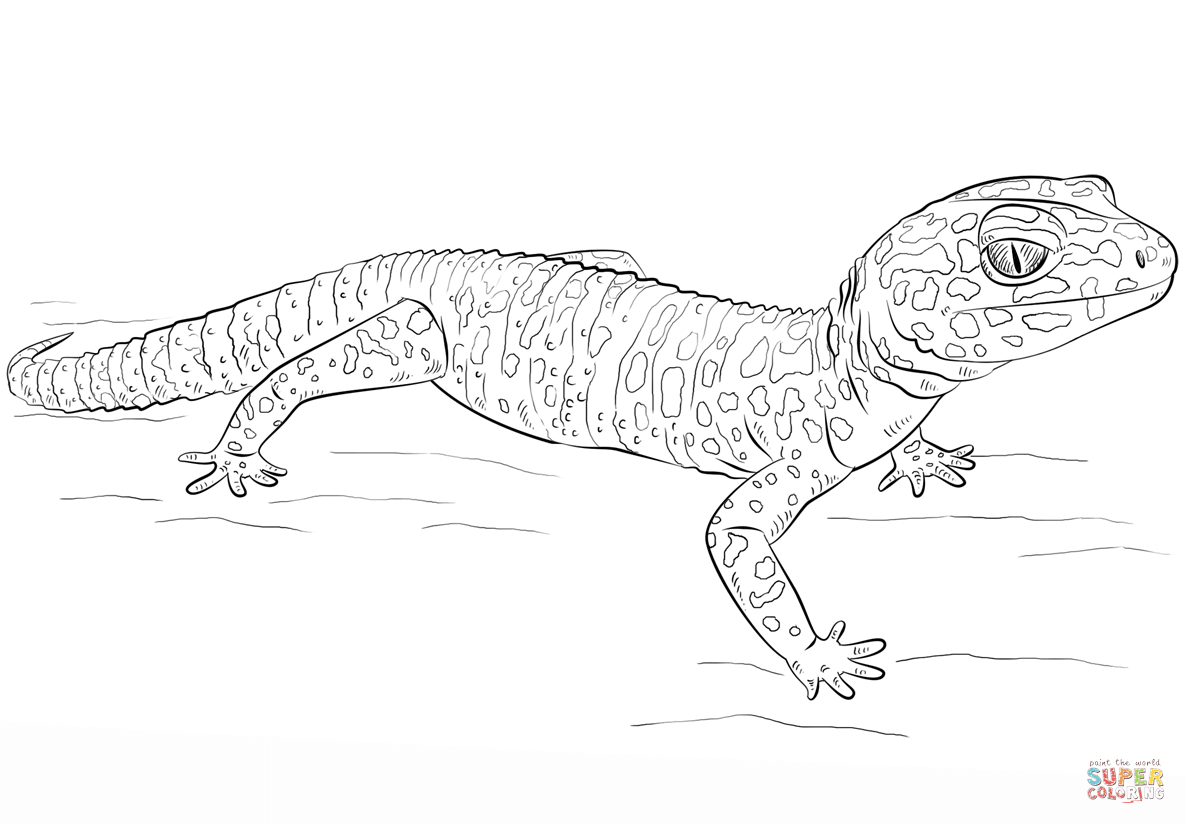Ausmalbild: Leoparden Gecko | Ausmalbilder Kostenlos Zum über Gecko Malvorlage