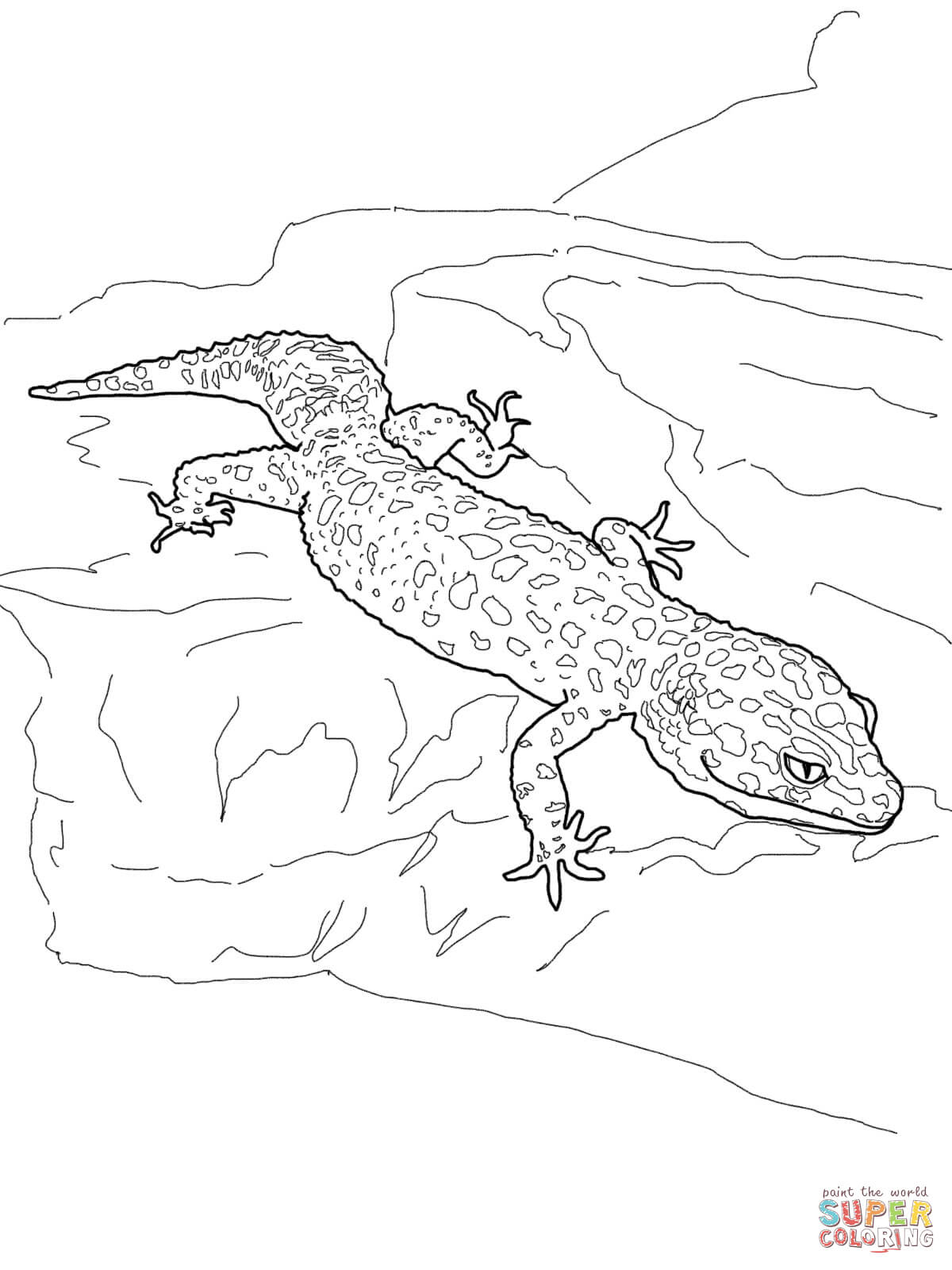 Ausmalbild: Leopardgecko | Ausmalbilder Kostenlos Zum Ausdrucken verwandt mit Gecko Malvorlage