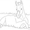 Ausmalbild Mit Pferd - Fohlen | Ausmalbilder Pferde - Viele bei Ausmalbilder Hunde Und Pferde