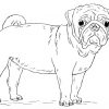 Ausmalbild: Niedlicher Mops-Hund | Ausmalbilder Kostenlos in Mops Ausmalbilder