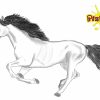 Ausmalbild Pferd - Kostenlose Malvorlagen bestimmt für Ausmalbilder Hunde Und Pferde