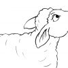 Ausmalbild Schaf Kostenlose Malvorlagen Schafe - Malvorlagen in Schaf Malvorlage