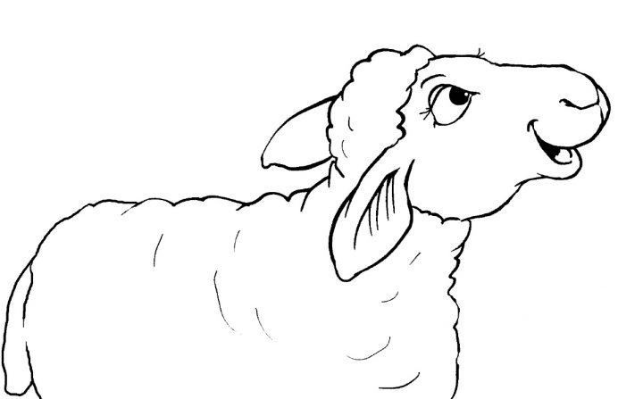 16+ Malvorlage Schaf Einfach Malvorlagen für Kindern