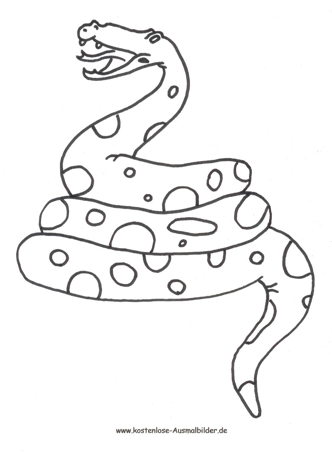 ausmalbild schlange zum ausdrucken verwandt mit schlangen