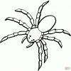 Ausmalbild: Spinne 5 | Ausmalbilder Kostenlos Zum Ausdrucken in Ausmalbild Spinne