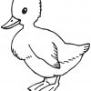 Ausmalbild: Süße Ente | Ausmalbilder Kostenlos Zum Ausdrucken bestimmt für Ausmalbild Ente
