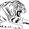 Ausmalbild: Tiger | Ausmalbilder Kostenlos Zum Ausdrucken ganzes Tiger Zum Ausmalen